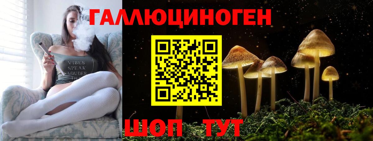 Псилоцибиновые грибы MAGIC MUSHROOMS Заводоуковск