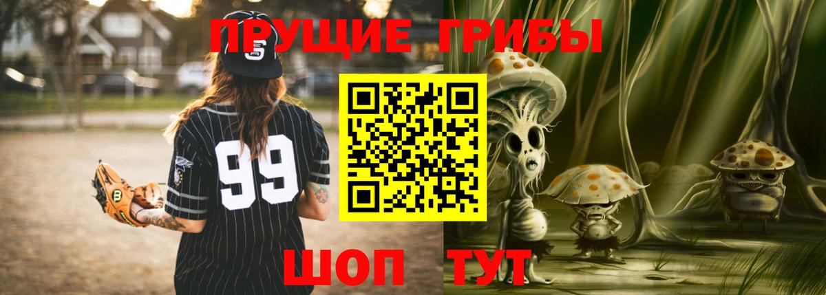 Галлюциногенные грибы Psilocybe  Псилоцибиновые грибы GOLDEN TEACHER  Заводоуковск  Вход с VPN 